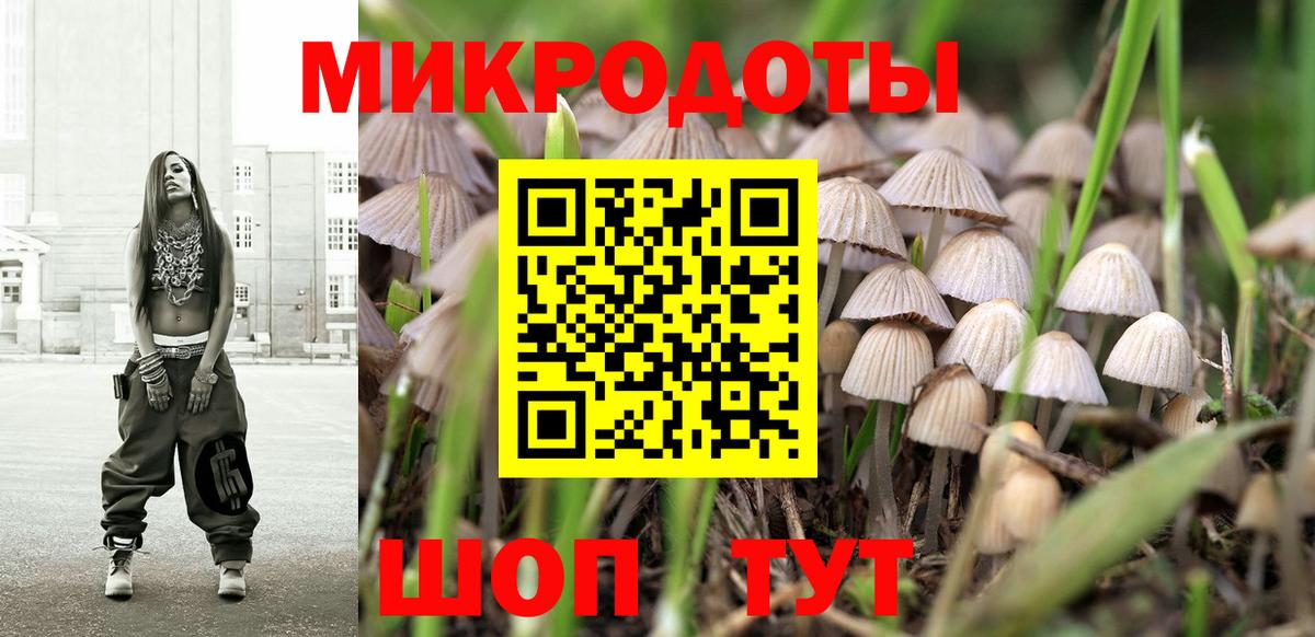 Дербент  Галлюциногенные грибы мухоморы  Вход с VPN 