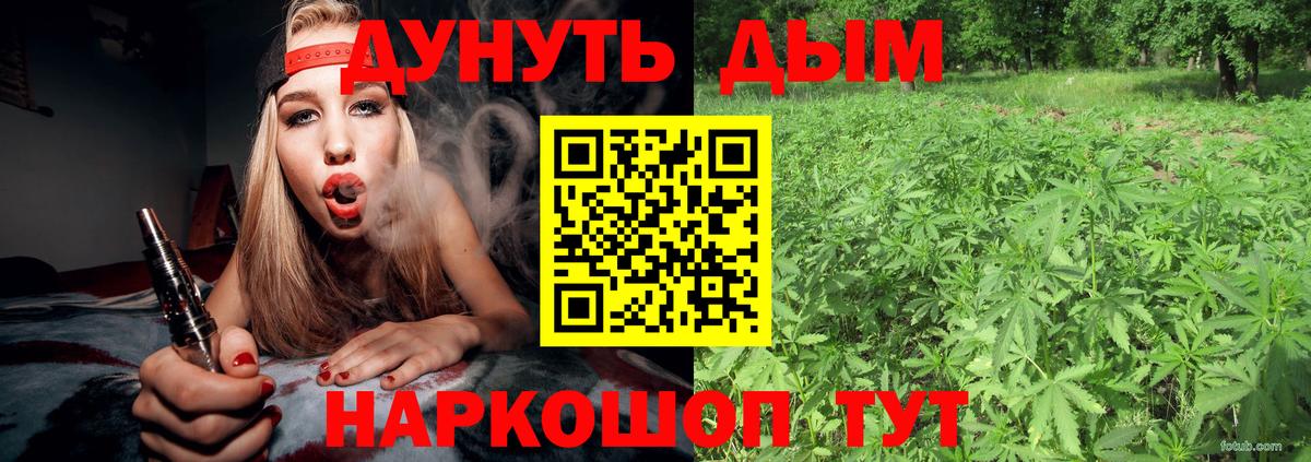 Шишки марихуана конопля Дербент